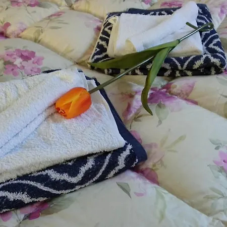 Bed & Breakfast A Casa Di Kate Pila (Umbria)